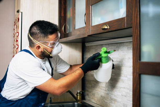 Best Insect Control  in Americus, GA