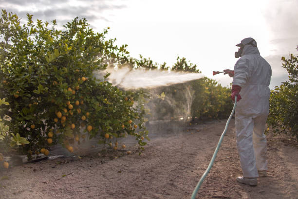 Best Residential Pest Control  in Americus, GA