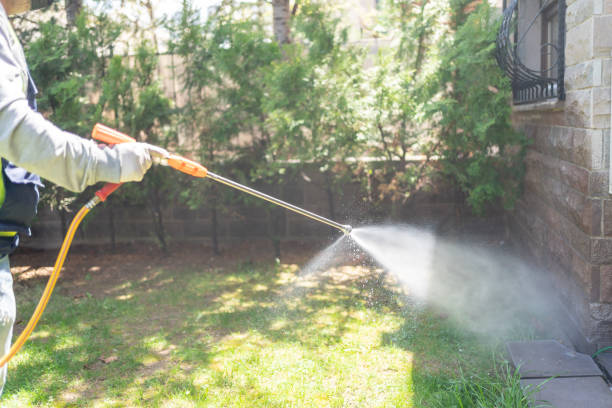 Best Affordable Pest Control Services  in Americus, GA