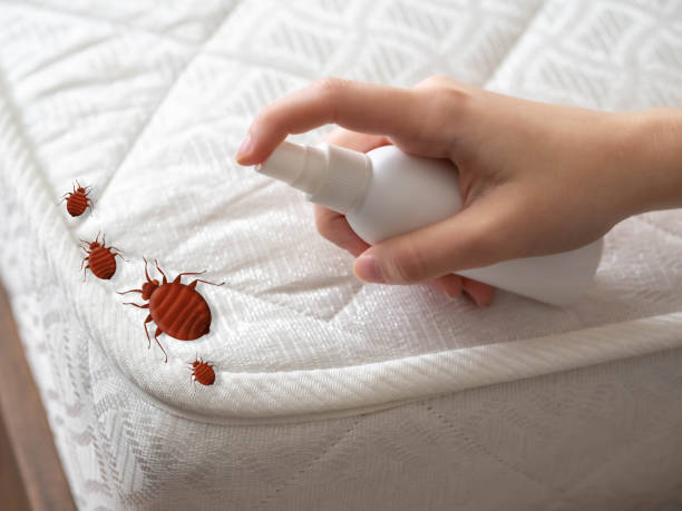 Best Best Pest Control Companies  in Americus, GA