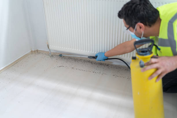 Best Flea Control Services  in Americus, GA